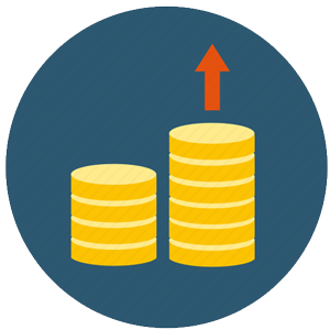 Demand-wise Expenditure